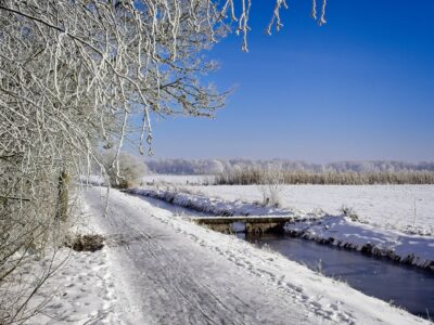 Snowy rural path beside a frozen stream with frosted trees under a clear blue winter sky, winter landscape photograph