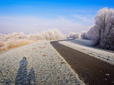 Winter scene with a curving paved path through frost-covered grass and hoarfrost trees beneath a blue sky