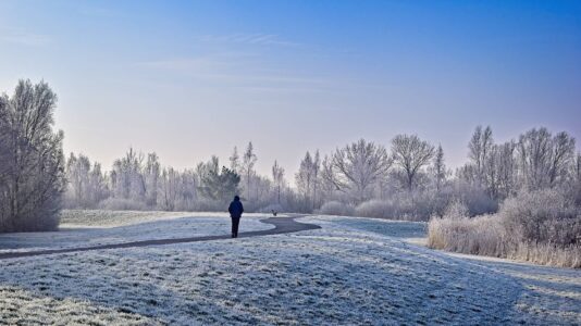 Person walking on a winding path through a frost-covered park at dawn with bare trees and clear blue sky