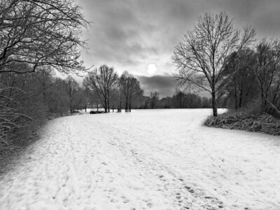 Black-and-white winter landscape of a snowy field with footprints, bare trees and a cloudy sunlit sky