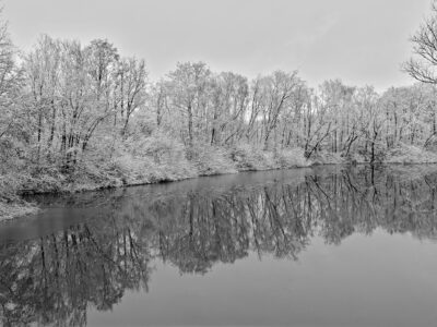 Black and white winter landscape photograph of snow-dusted trees lining a calm river with crisp reflections for Bernd Meyer