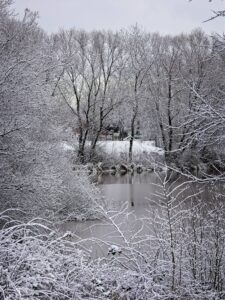 Snow-covered riverside scene with bare winter trees, frosted bushes and a calm reflective pond in a grey sky