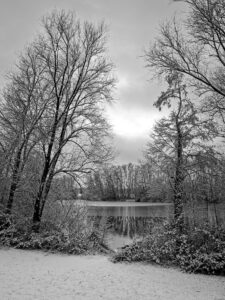 Black and white winter landscape photograph of a snowy lakeshore framed by bare trees and reflected tree line in calm water