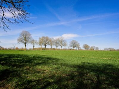 Blick auf den Linteler Kirchweg