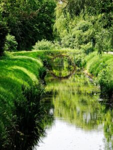 Lush green Rhododendron Park canal with arched stone bridge reflected in calm water, verdant banks and willow trees
