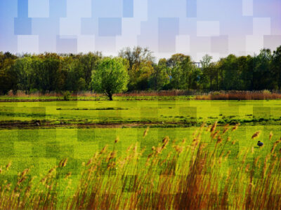 2026 07 Between Worlds 009